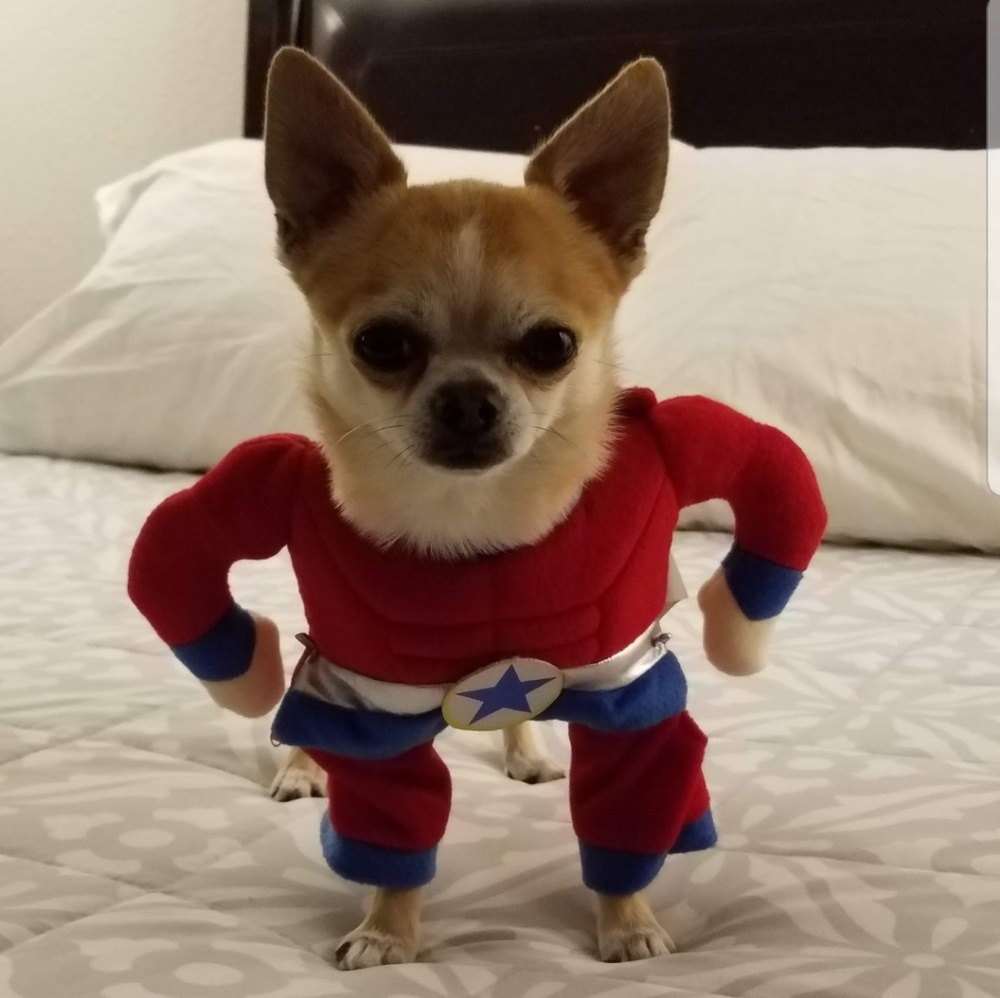 Meet your Posher, Mauricio